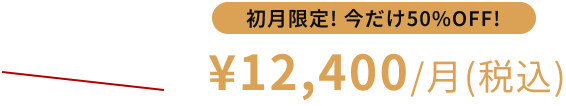 初月限定！今だけ50%OFF!